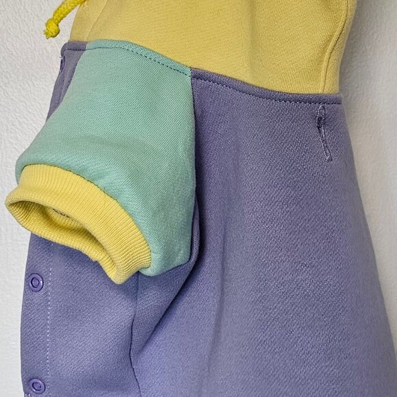 Teddy Fresh Pet Hoodie Colorblock Size L - Rare 2020 1st Edition - Picture 5 of 8